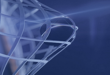 Открытый чемпионат Республиканской Любительской Хоккейной Лиги 2024-2025 г. Дивизион Семака А.В.